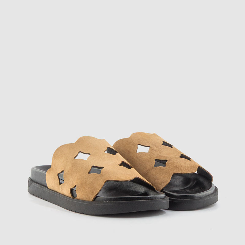 BIO CIRCULOS ANTE BEIG