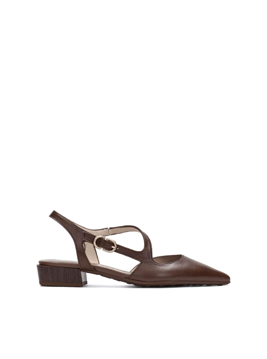 HISP HV264773 C001 MARRON-0