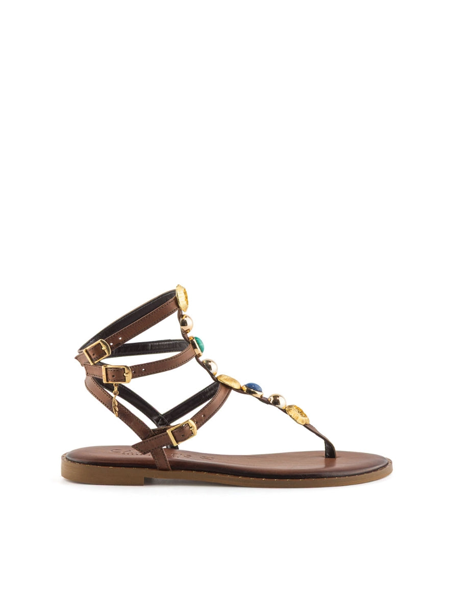 CARIATYS621031 BROWN -0