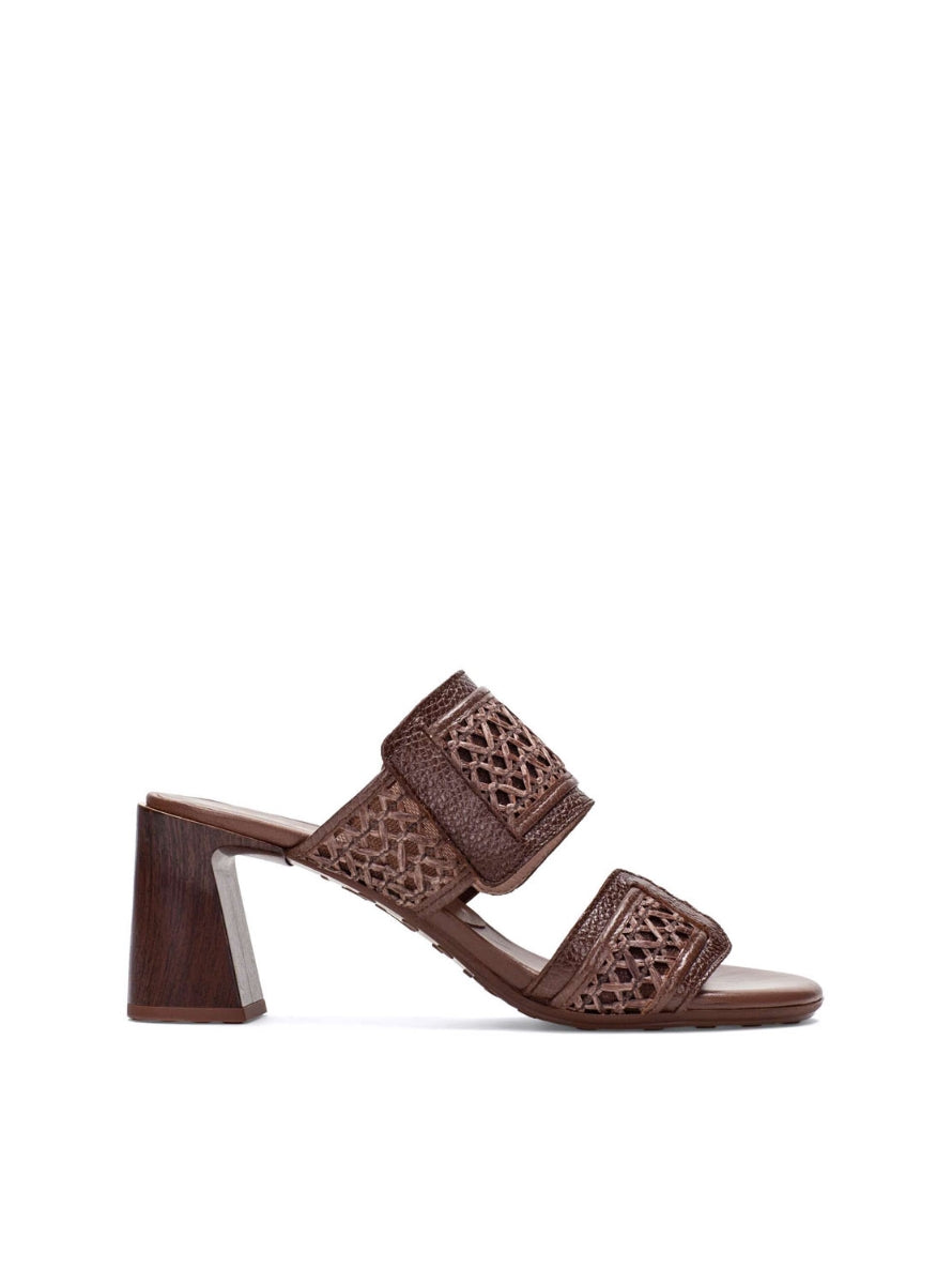 HISP RHV264747 C003 MARRON-0