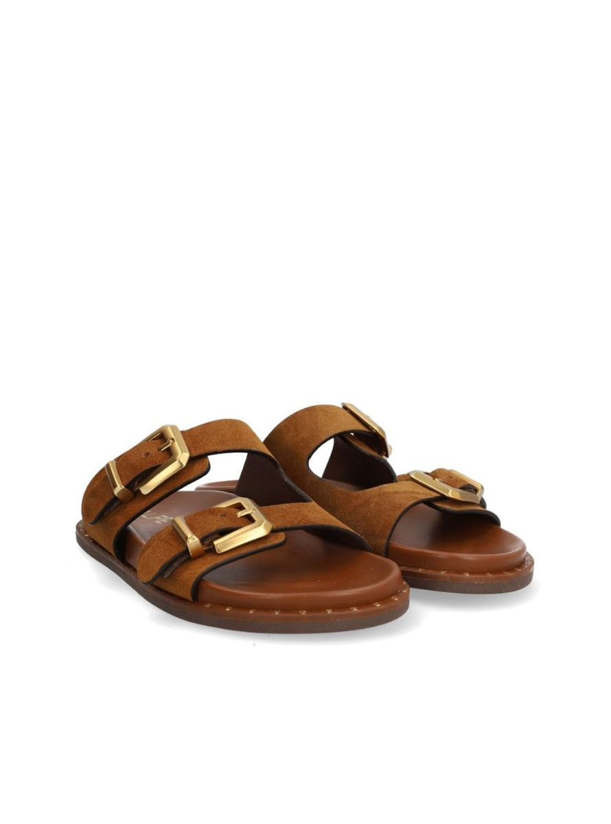 ALPE 5575 11 12 MARRON -1