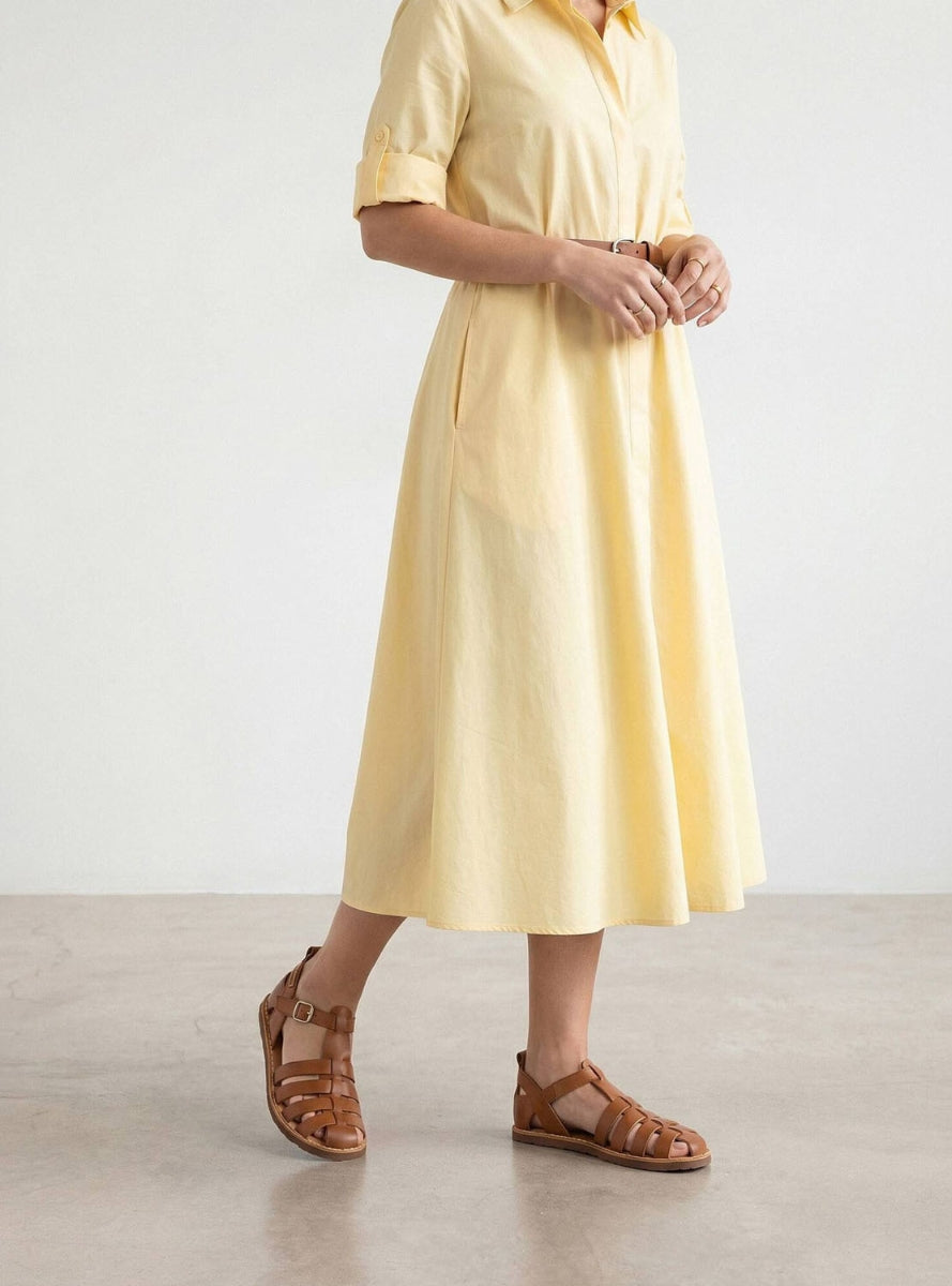 PKL W0F-0934 sra BRANDY -1