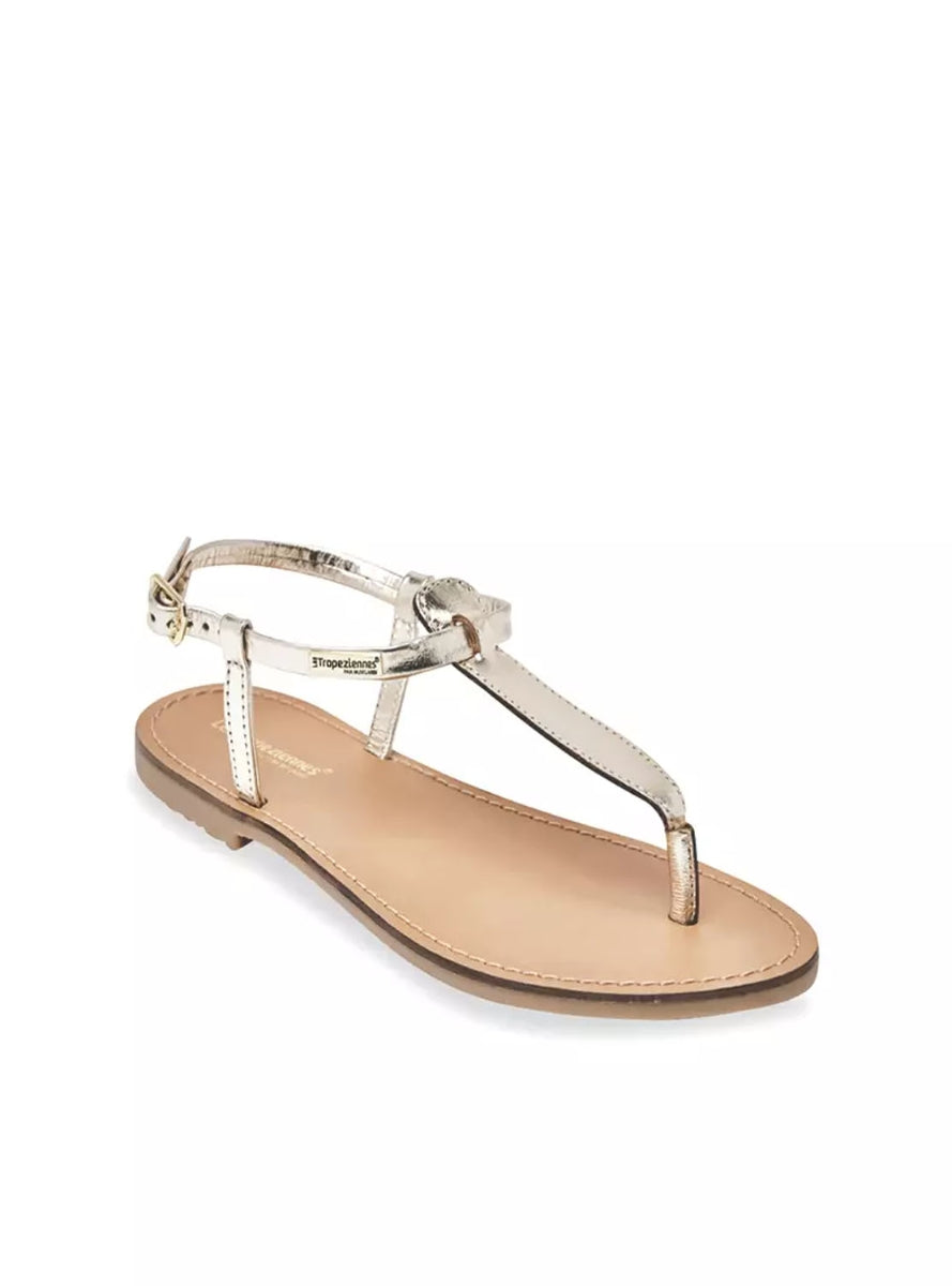 LTROP HARVIL C063467 ORO -2