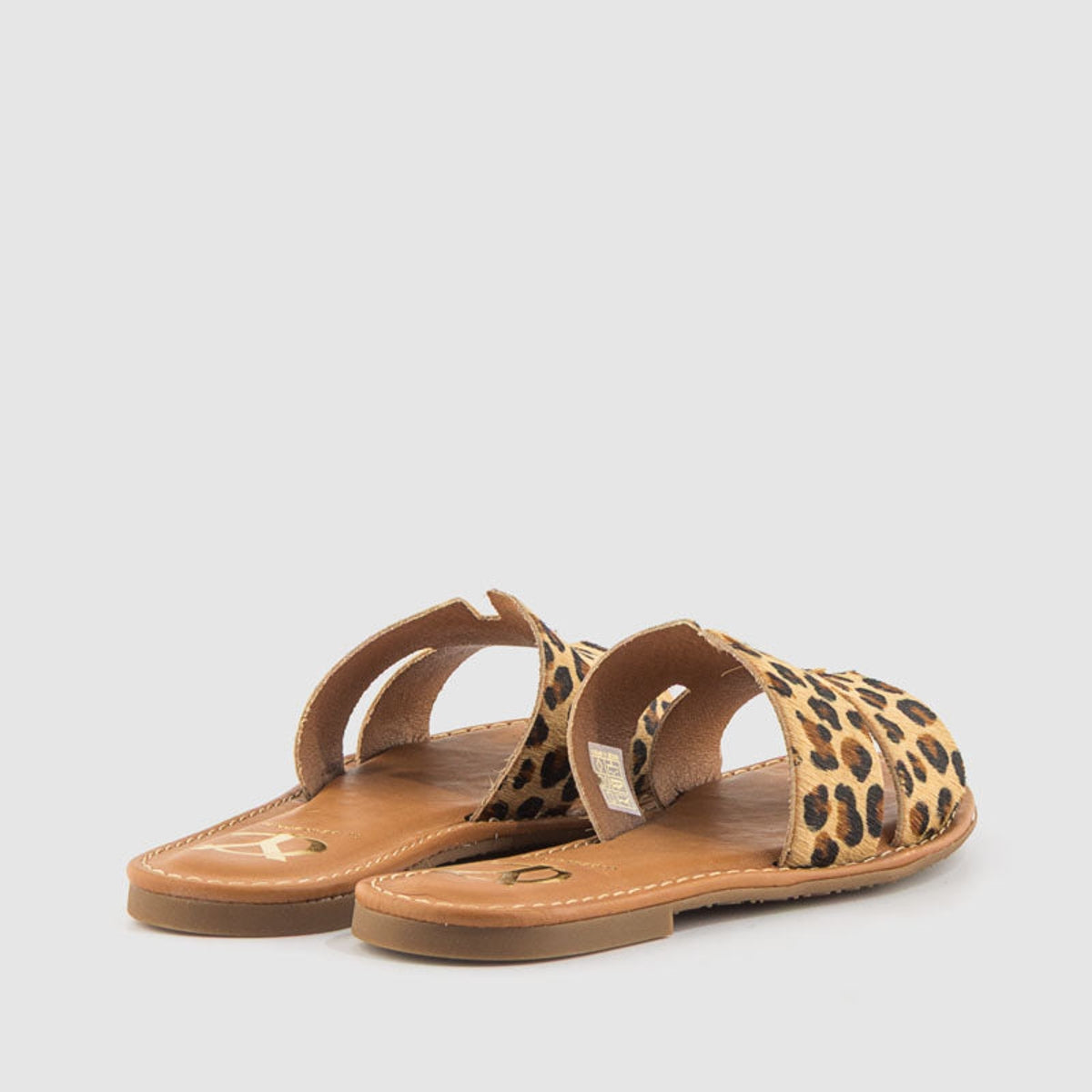 1181 YACARE 157270 LEOPARDO-2