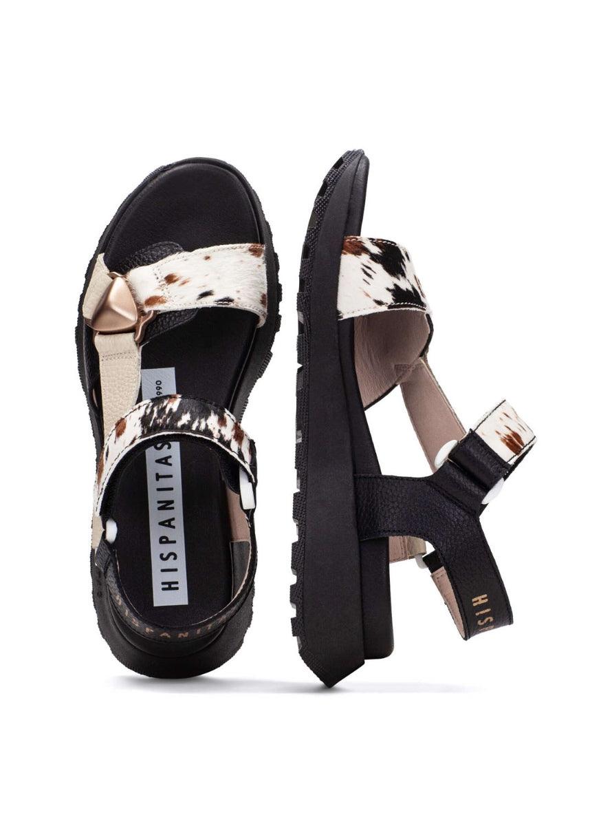 HISP CHV264807 VACA-0