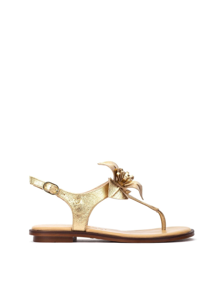 MART 1535-B251N ORO -1