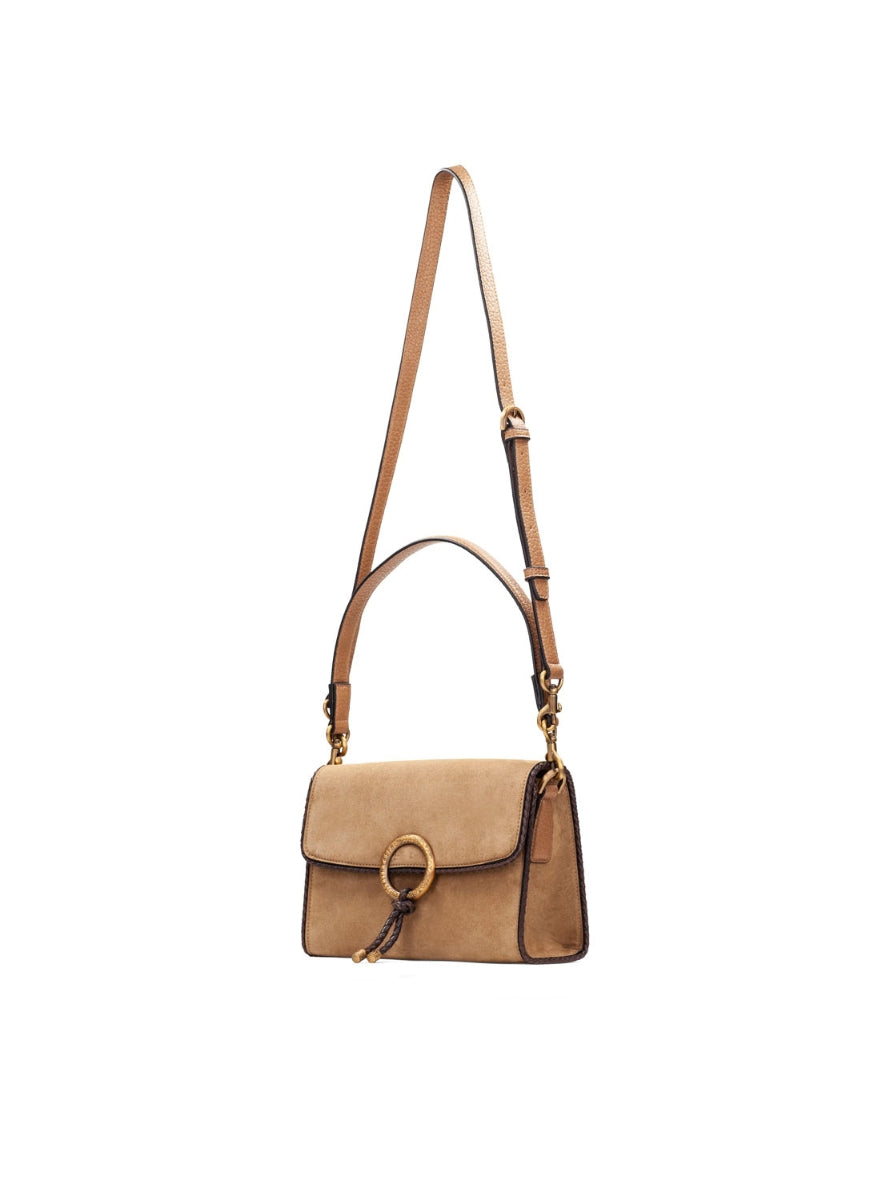 HISP BI264945 HONEY-3