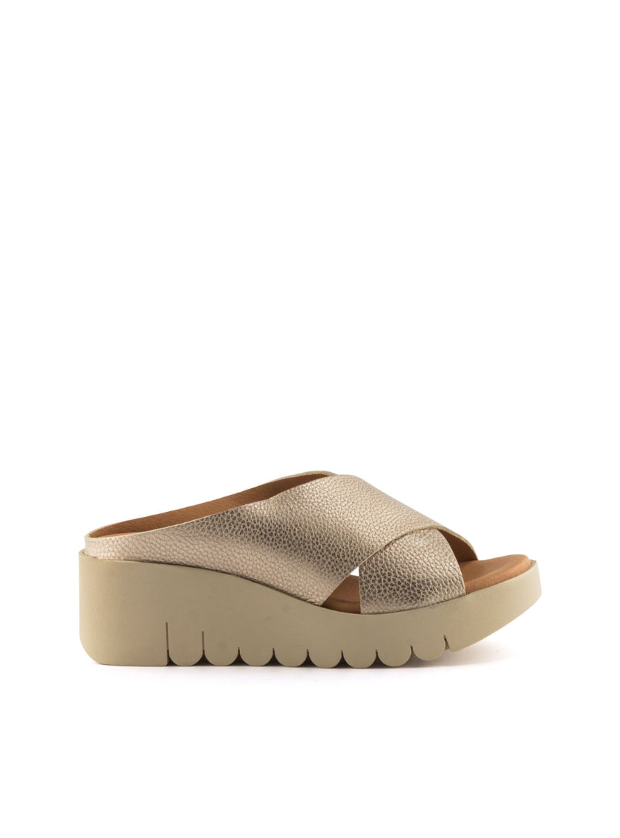 204261 BRAND ARA 500 CAVA-0