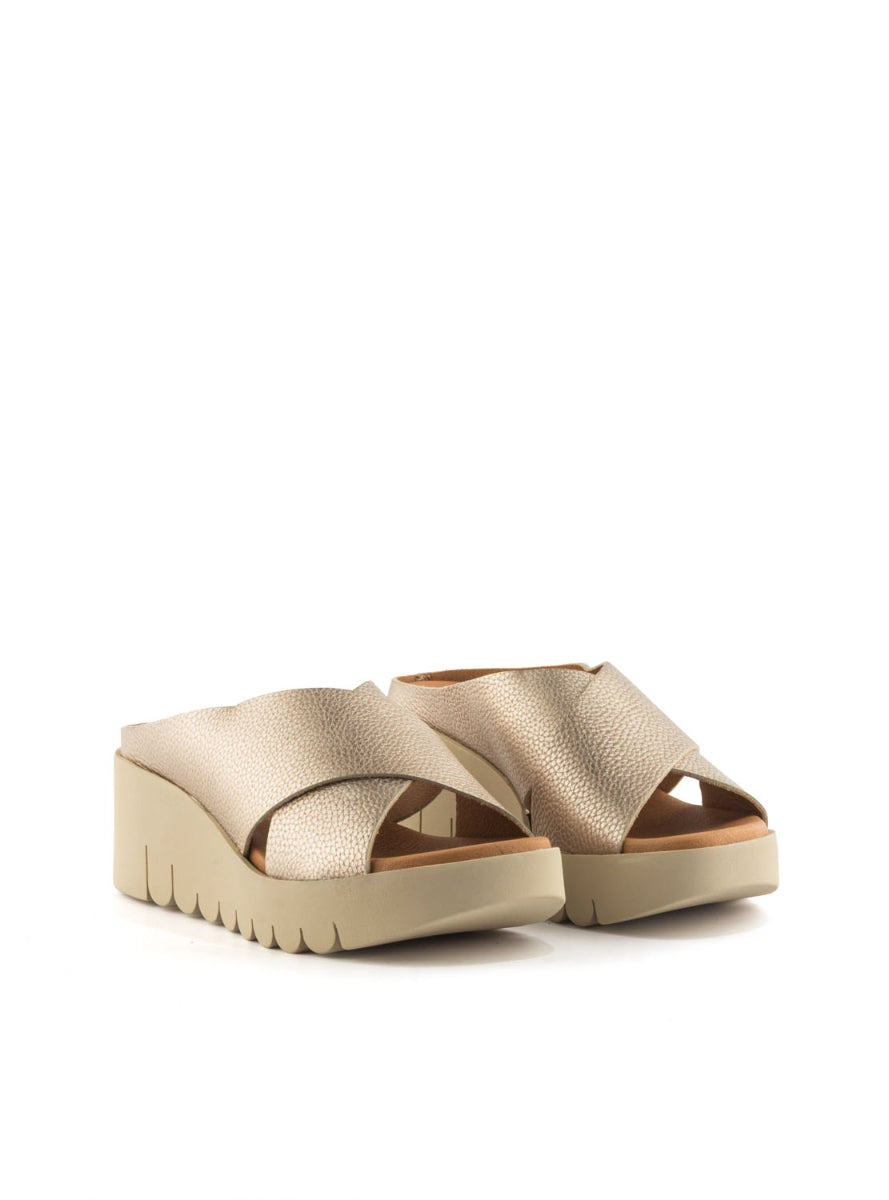 204261 BRAND ARA 500 CAVA-1