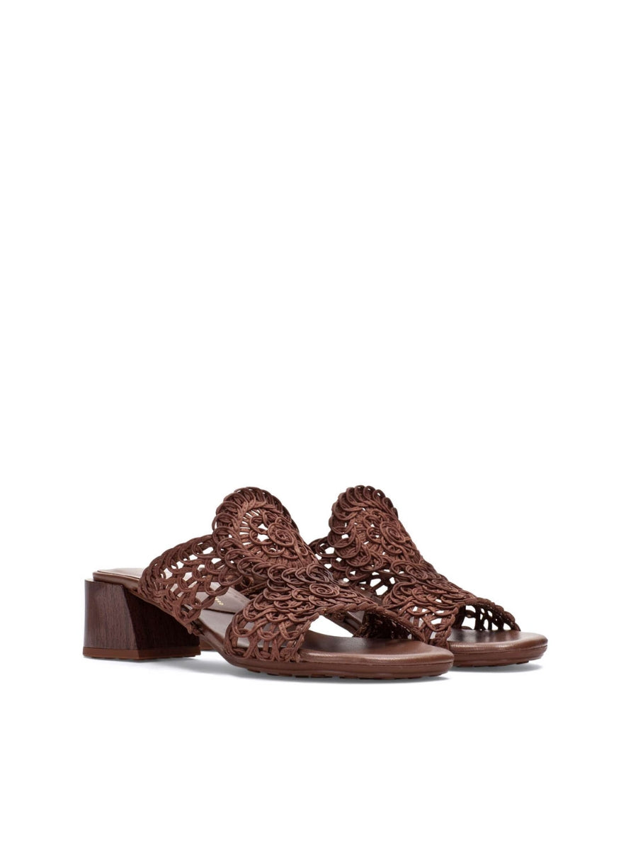 HISP HV264602 MARRON-1