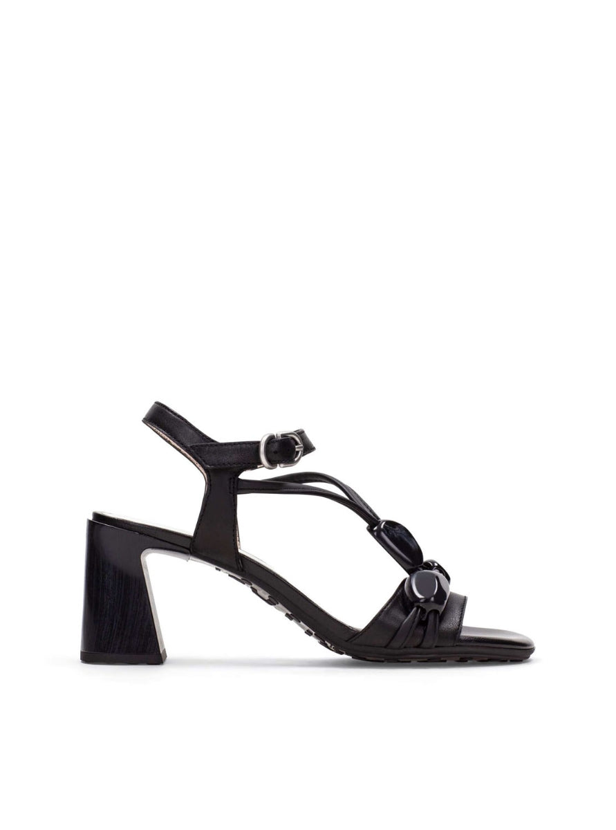 HISP HV264635 C002 BLACK-0