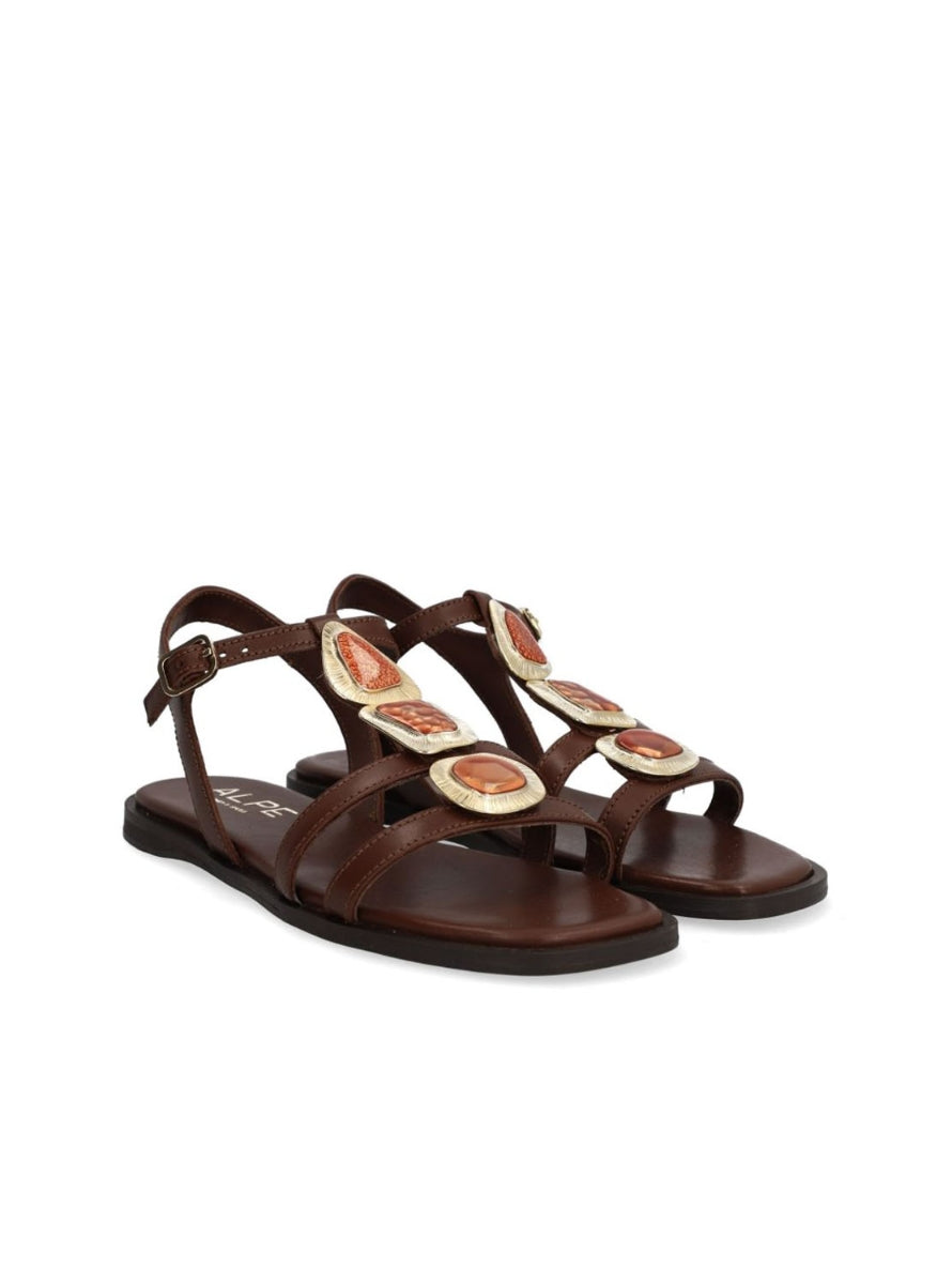 ALPE 5594 17 04 MARRON -1