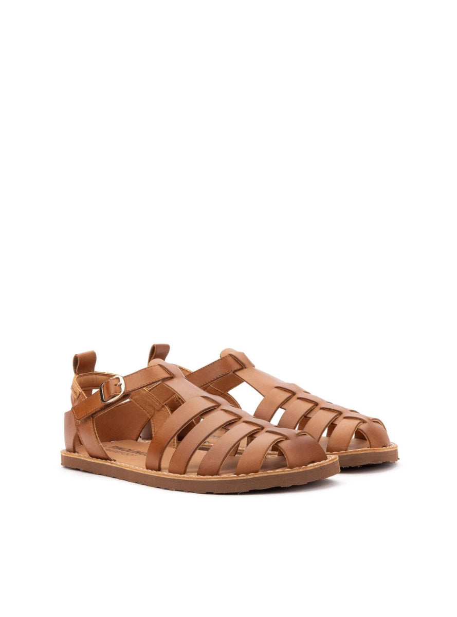 PKL W0F-0934 sra BRANDY -0