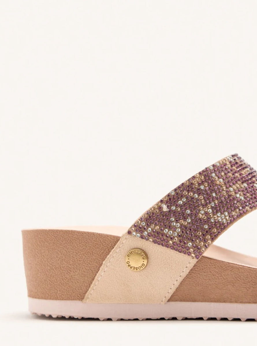 GIO 74513 STODDARD ROSA -2