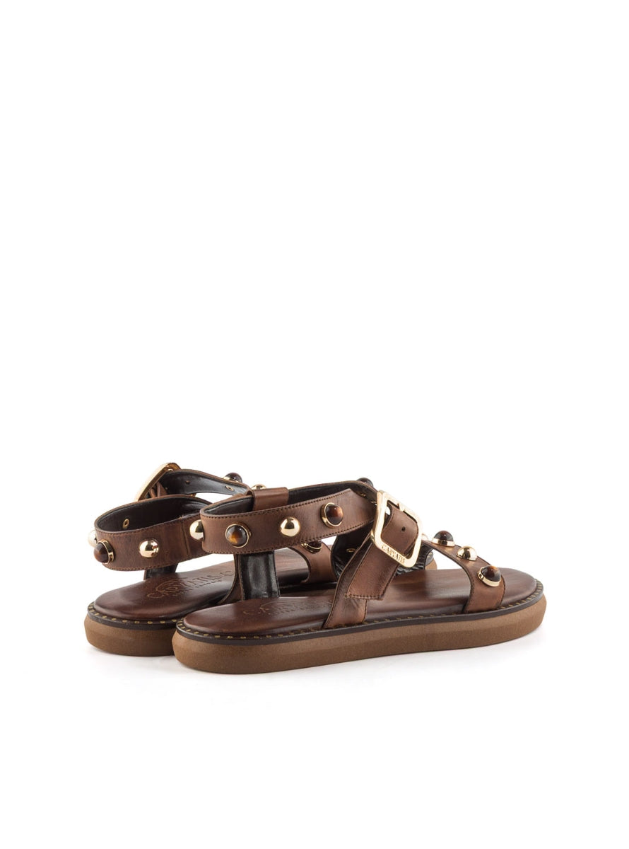 CARIATYS63151 BROWN-2