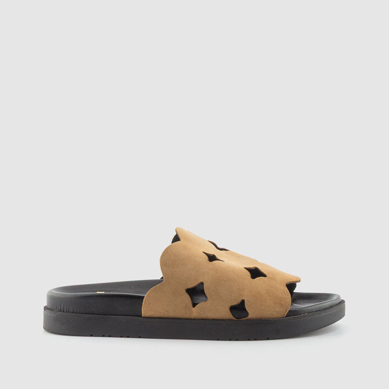 BIO CIRCULOS ANTE BEIG