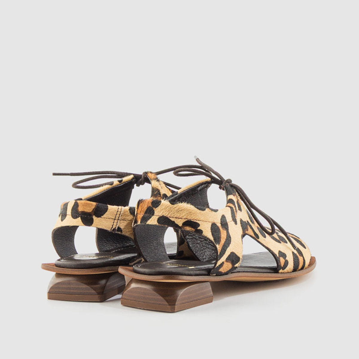 627 PRIMI 55161 LEOPARDO-2