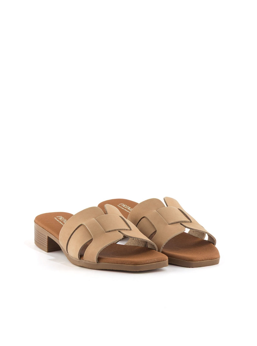 302 PRIMI 5880 TAUPE -1