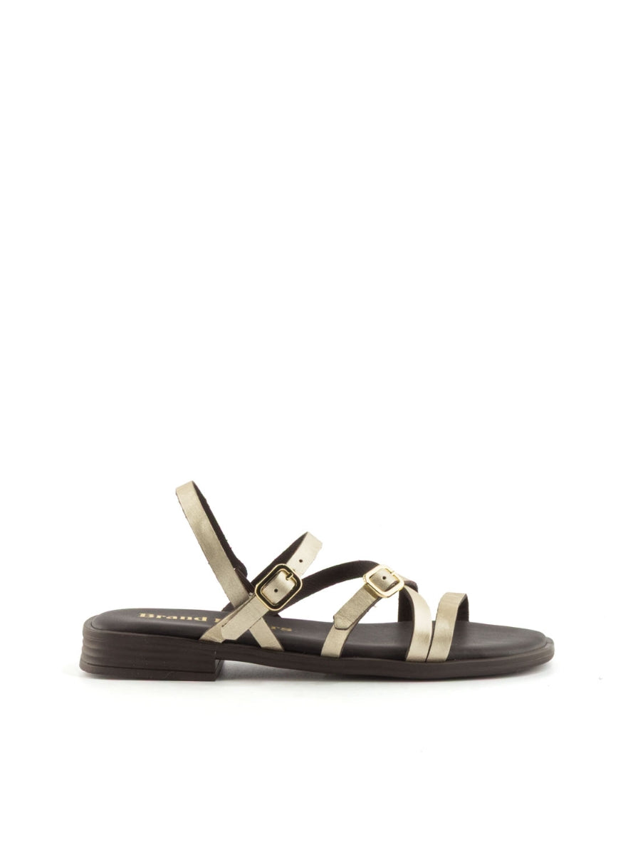 1244 BRAND T-162836 PLATINO -0