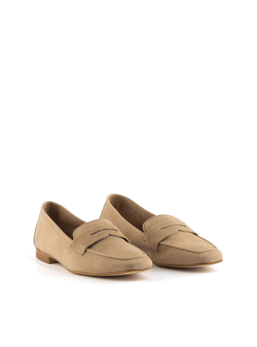 24 PRIMICHI 2008  TAUPE -1