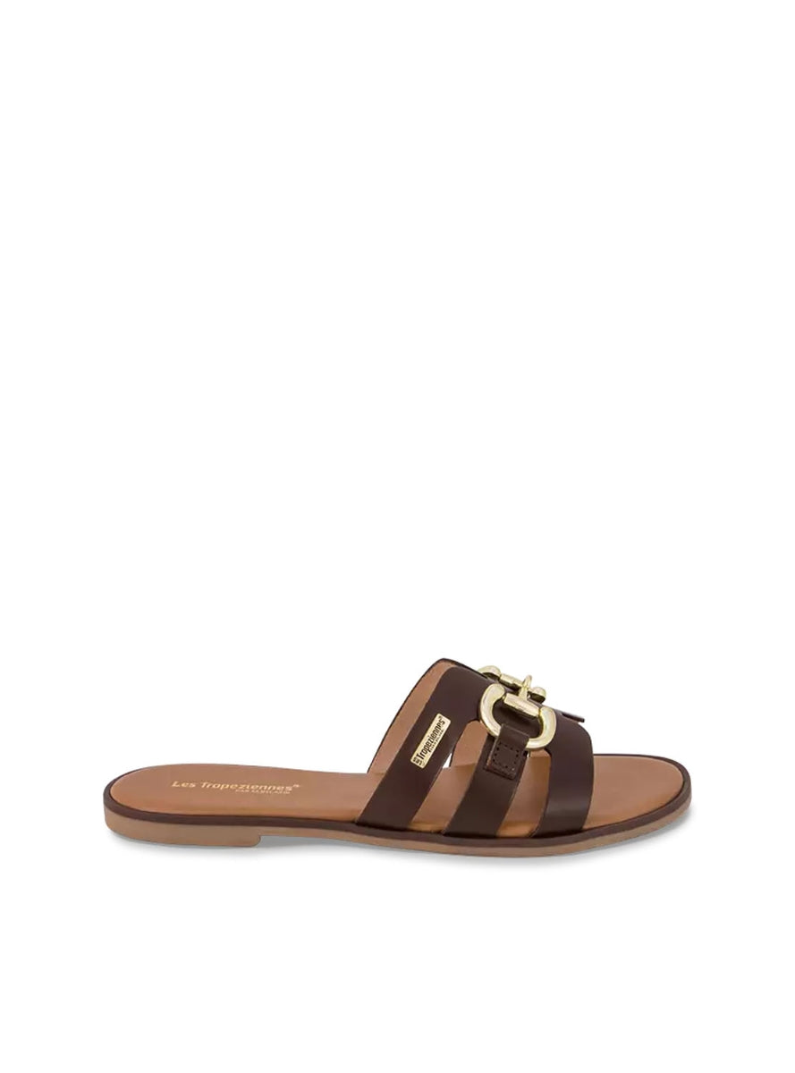 LTROP HAMIA C331207 CHOCOLATE -0
