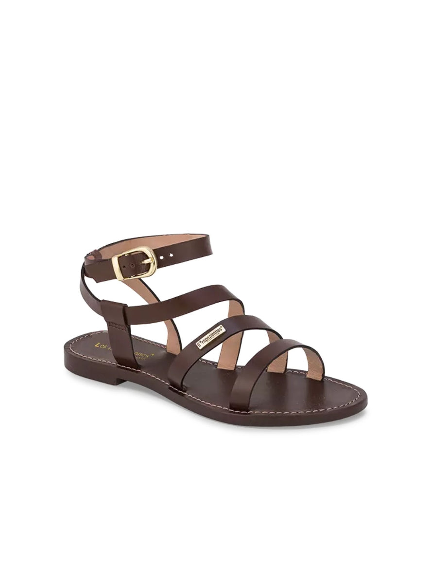 LTROP HAGMEL C331229 CHOCOLATE -1