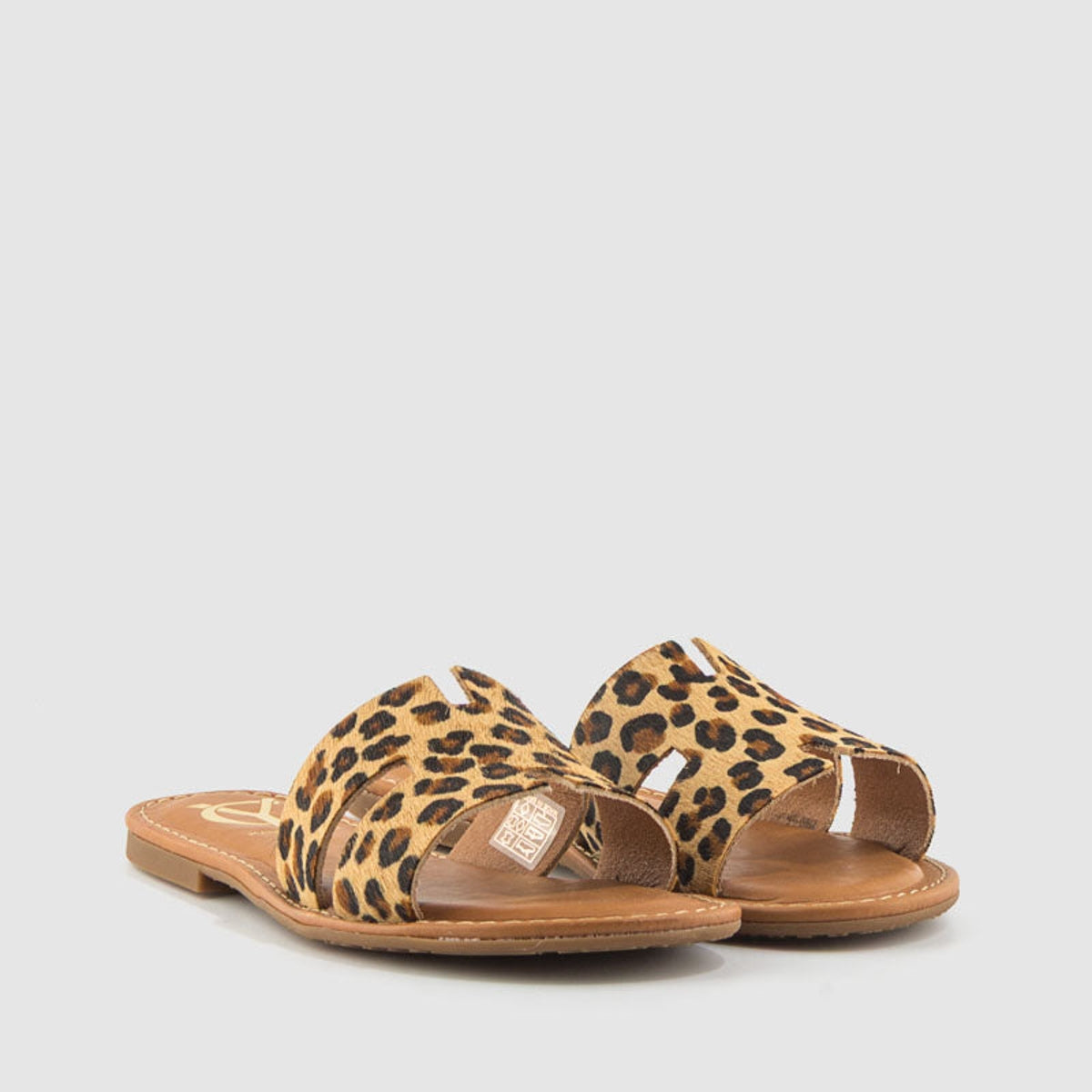 1181 YACARE 157270 LEOPARDO-1